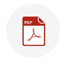 PDF example